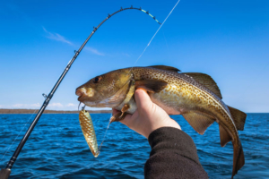 petersburg alaska fishing