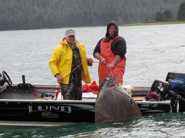 guide and guest hauling in a large halibut on a boat