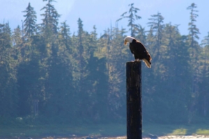 alaska fishing