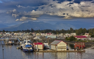 A wide angle shot of Petersburg Alaska's bustling harbor.