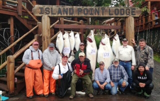 A group of men sitting in front of a large haul of halibut caught on an Alaska fishing trip.