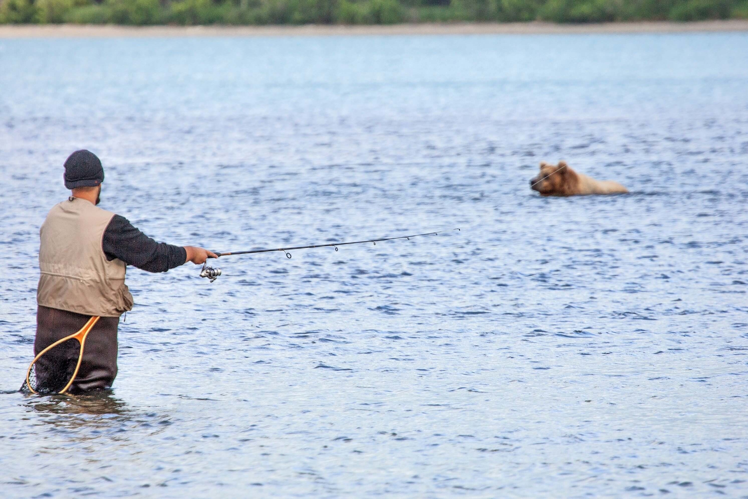 A man fishing in Petersburg Alaska. There is a bear swimming in the distance.