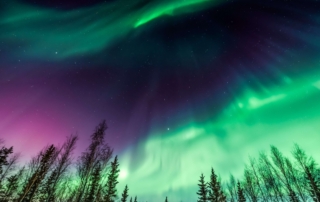 What you could see on a Northern Lights Alaska Tour.