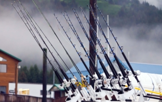 Fishing poles for Halibut Fishing Alaska.
