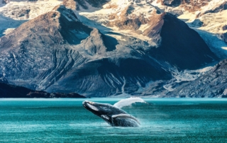Inside Passage in Alaska.